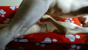ABG Jakarta Live Dari Kamar Hotel Bintang Lima Penonton Lumer HD